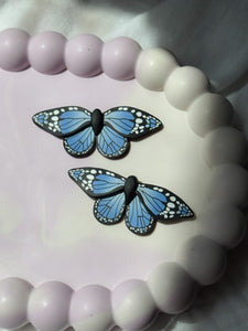 The Metamorphosis- Blue Butterfly
