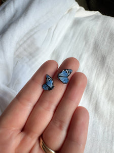 Blue Butterfly Studs