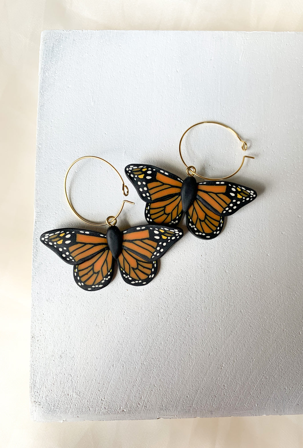 The Metamorphosis- Monarch Butterfly